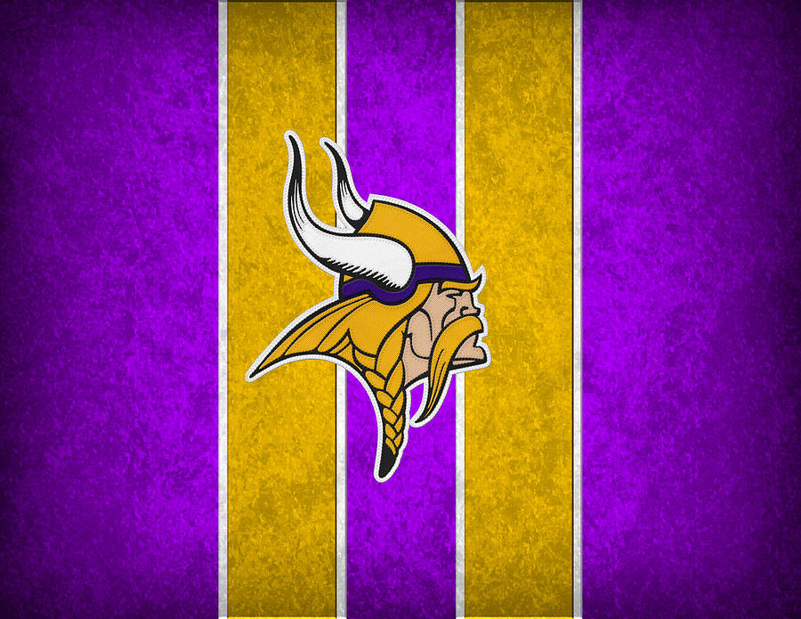 Minnesota Vikings Photograph by Joe Hamilton - Fine Art America