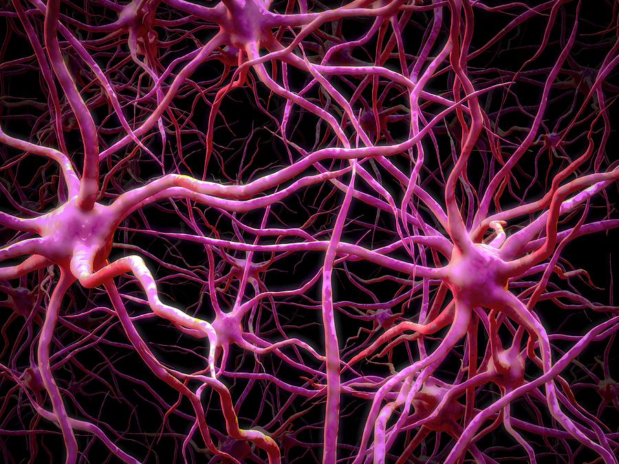 Neural Network #9 Photograph by Maurizio De Angelis