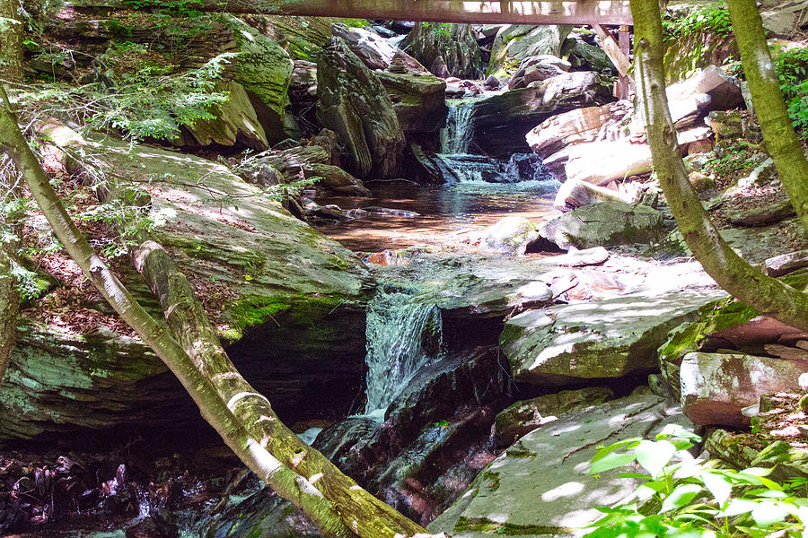 Pictures of Waterfall Ricketts Glen State Park PA #9 Photograph by Susan Jensen