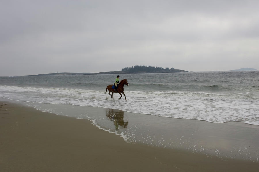 Beach Photograph - Popham Beach, Horseback Riding, Maine #9 by David McLain