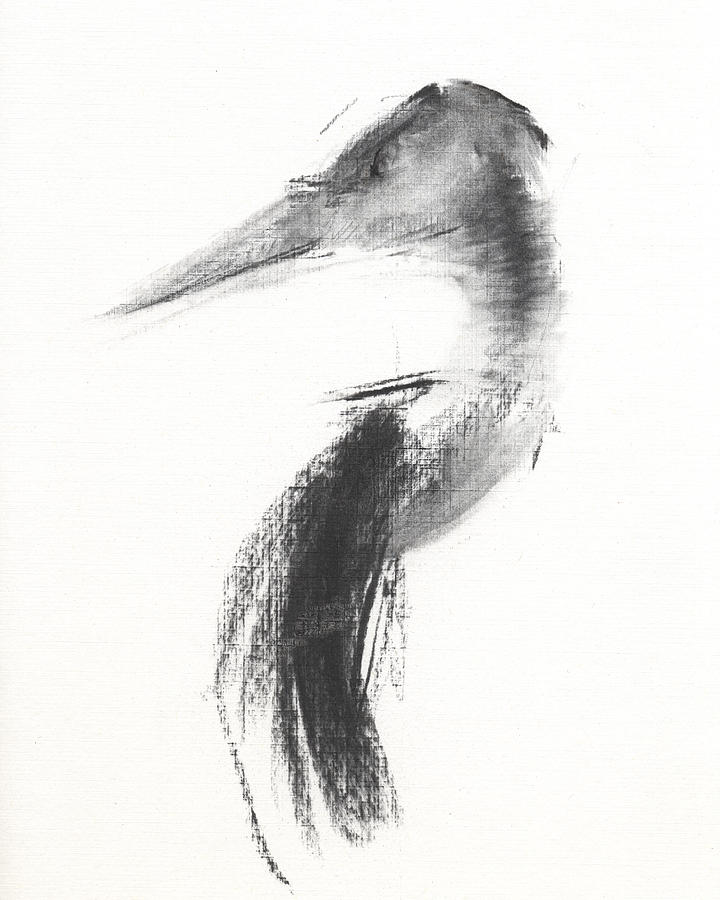 Heron Drawing - Untitled #455 by Chris N Rohrbach