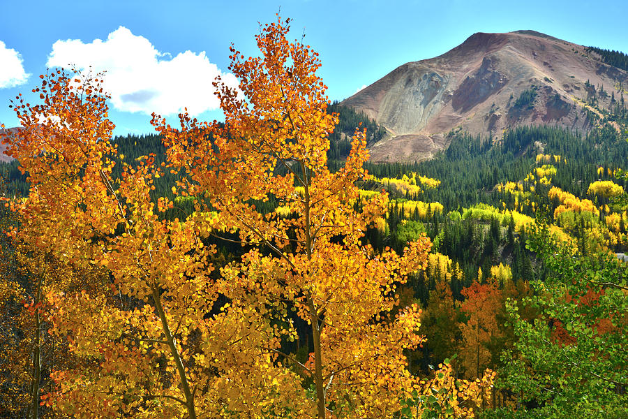 Red Mountain Pass Fall Colors #10 Photograph by Ray Mathis