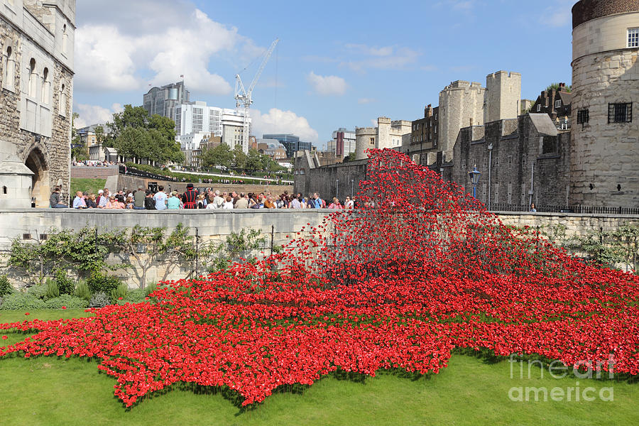 Remembrance Poppies at the Tower of London #9 Photograph by Julia Gavin