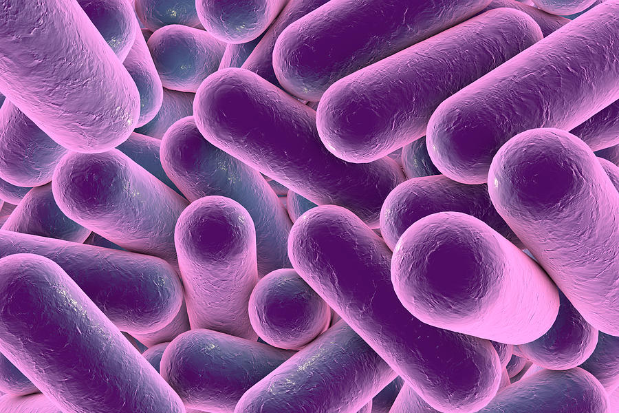 Rod-shaped Bacteria #9 Photograph by Kateryna Kon