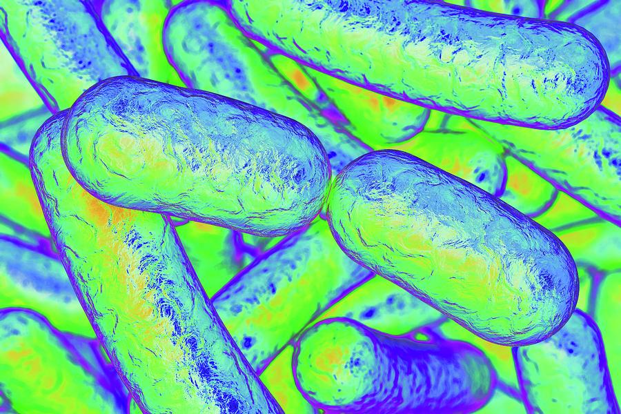 Rod-shaped Bacteria #9 Photograph by Kateryna Kon/science Photo Library