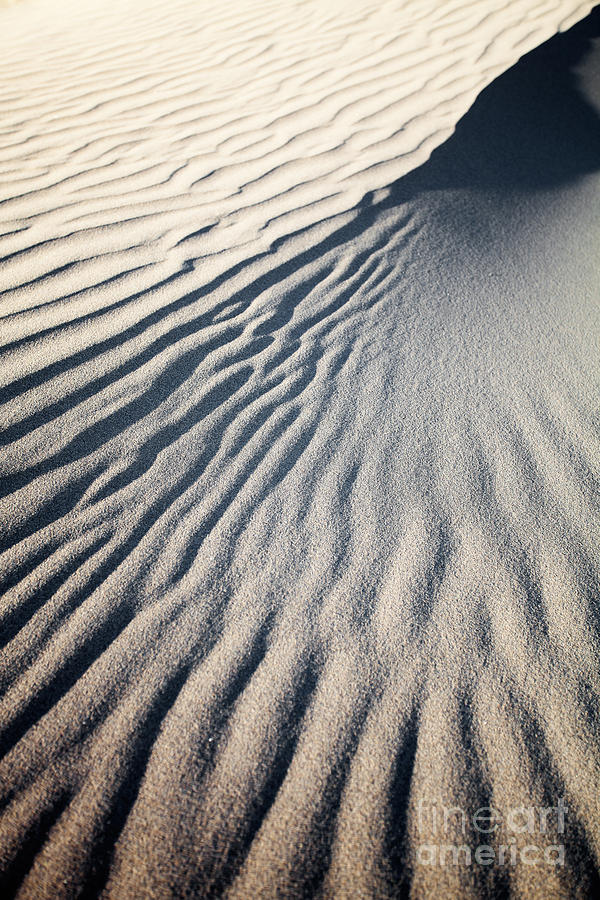 Sand dunes #9 Photograph by Kati Finell