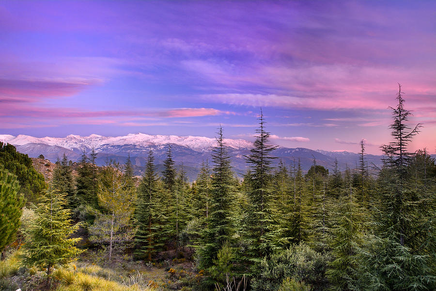 Sierra Nevada National Park Photograph by Guido Montanes Castillo ...