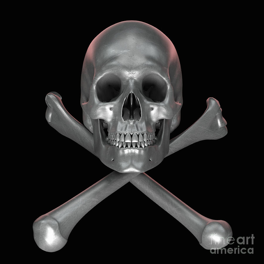 Skull And Crossbones #9 Photograph by Science Picture Co