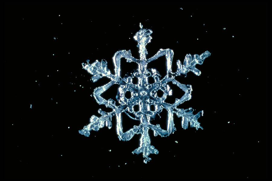 Snowflake #9 Photograph by Perennou Nuridsany