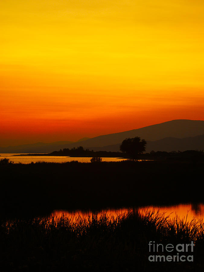 Nature Photograph - Sunset #9 by James Yang
