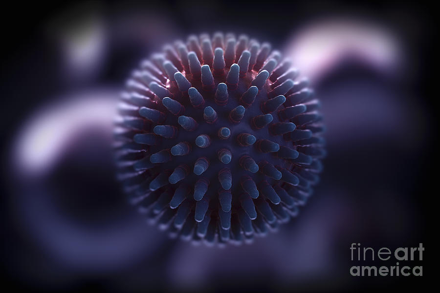 Hemagglutinin Photograph - Swine Influenza Virus H1n1 #9 by Science Picture Co