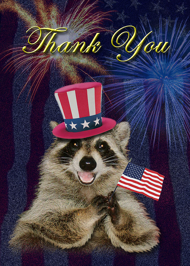 Independence Day Photograph - Thank You Raccoon #9 by Jeanette K
