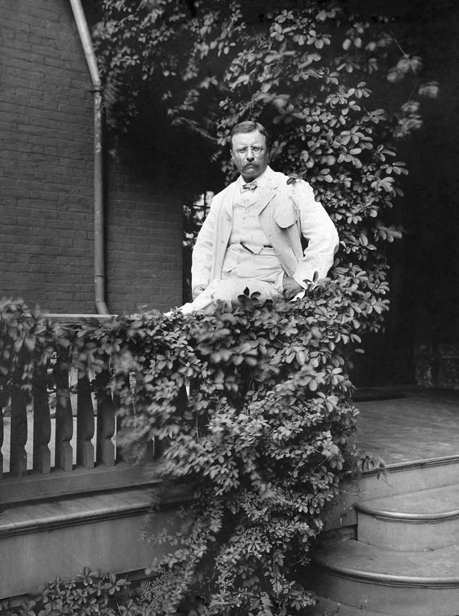 Theodore Roosevelt(1858-1919) #9 Photograph by Granger