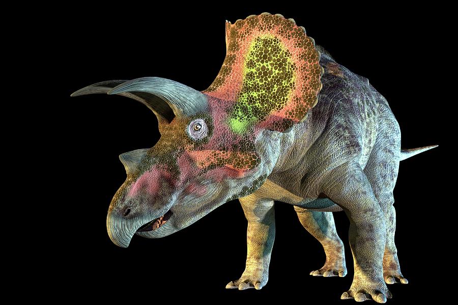 Prehistoric Photograph - Triceratops Dinosaur #9 by Roger Harris