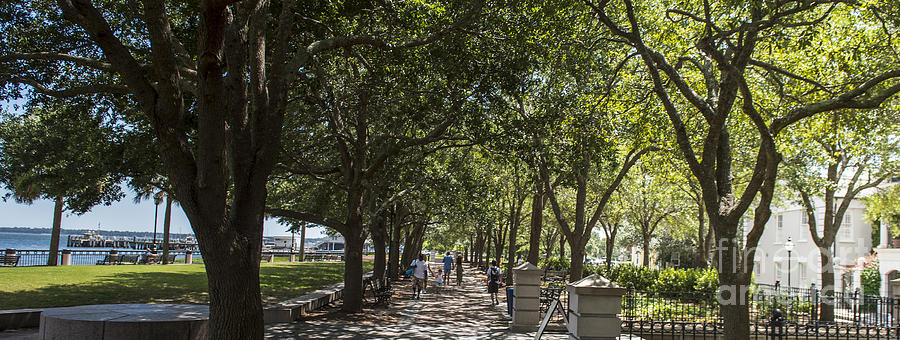 Waterfront Park in Charleston #9 Photograph by David Oppenheimer