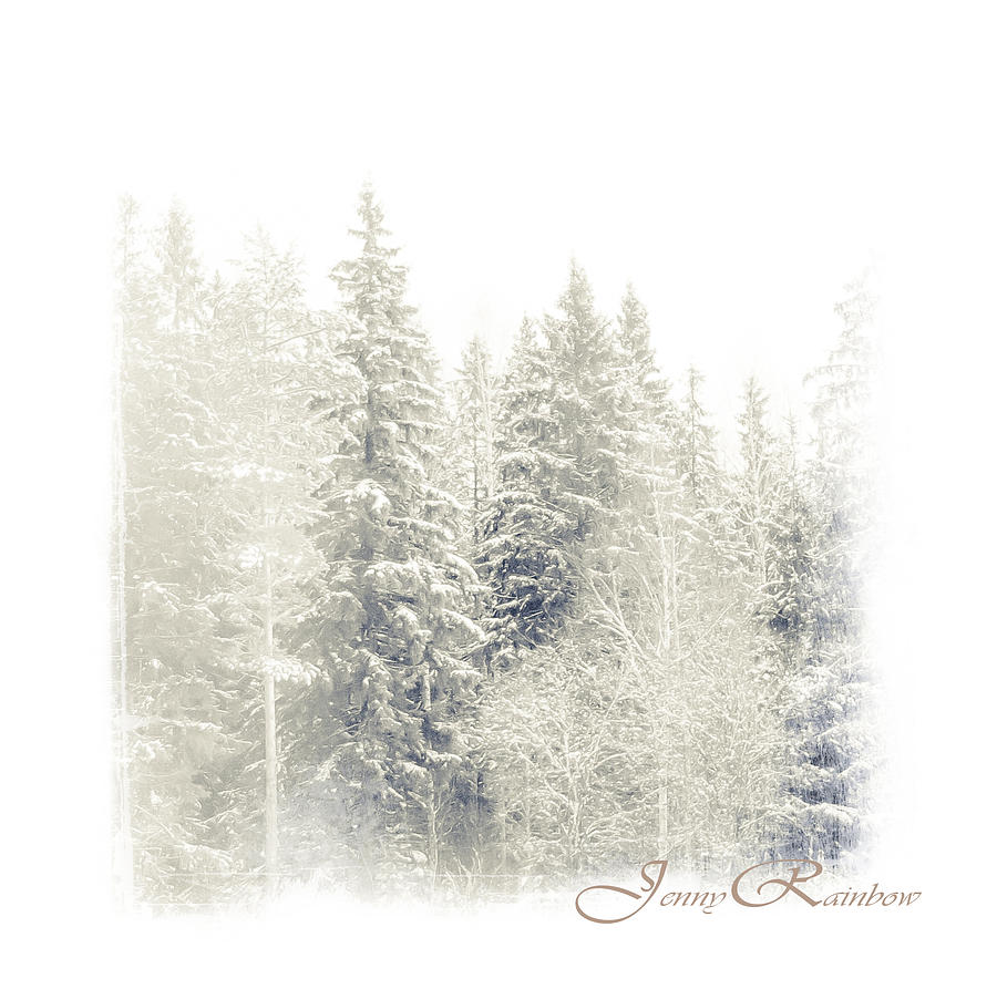 Winter Wonderland. Elegant KnickKnacks from JennyRainbow #1 Photograph by Jenny Rainbow