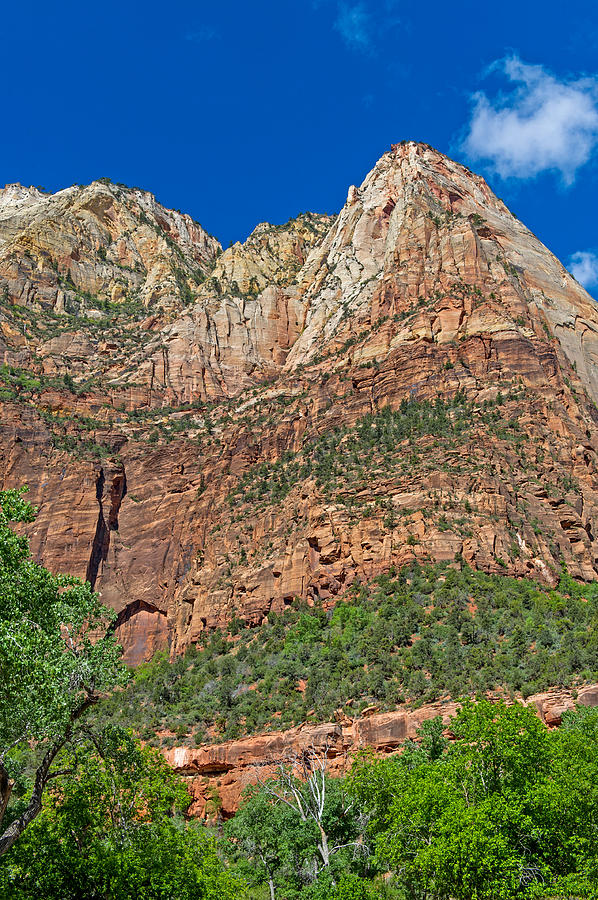 Zion National Park #9 Photograph by Willie Harper