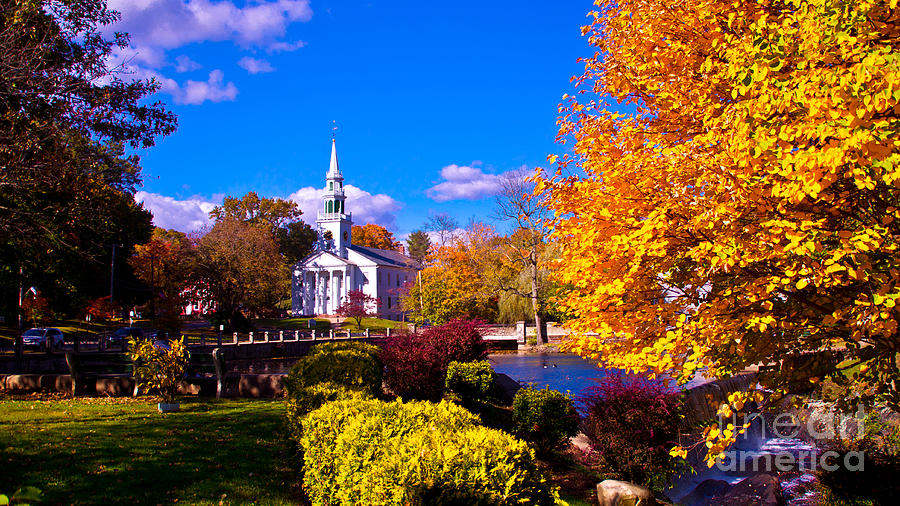 New England Foliage. Photograph by New England Photography