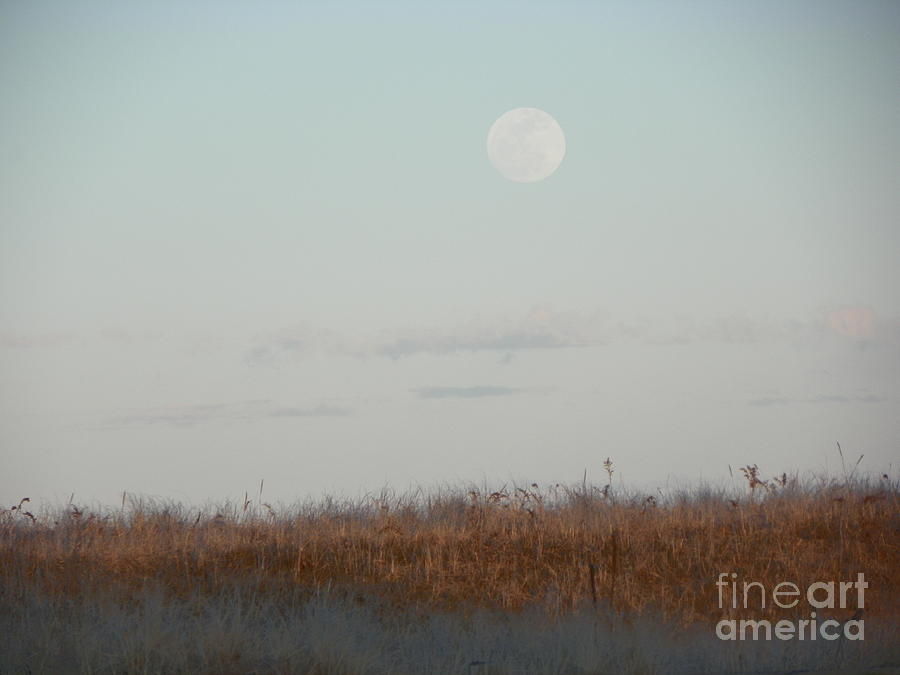 Nature Photograph - 932 D953 Salisbury Beach State Reservation by Robin Lee Mccarthy Photography