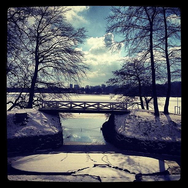 Winter Photograph - Instagram Photo #941363264699 by Chokolars Sorensen
