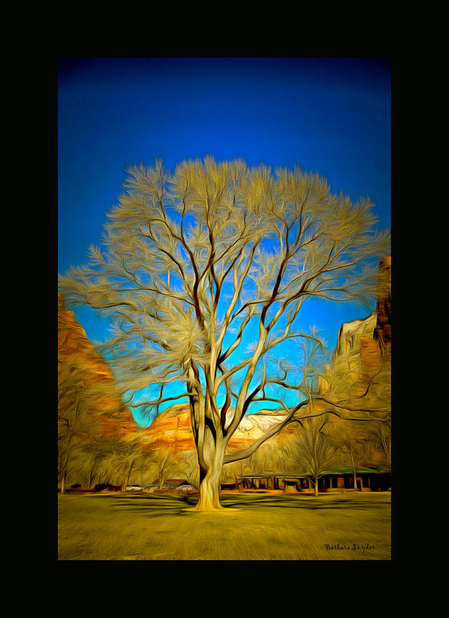 96 Year Old Zion Cottonwood Tree Duvet Painting by Barbara Snyder