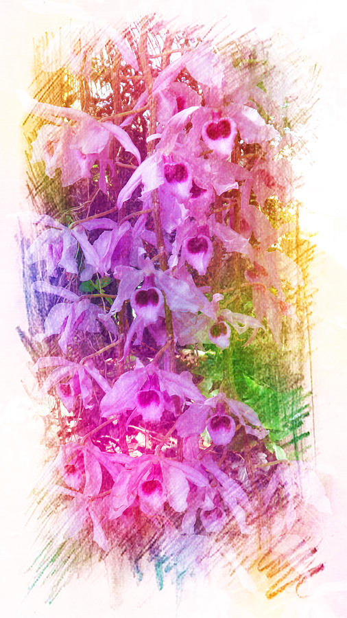 Fantastic Orchids Painting by Xueyin Chen