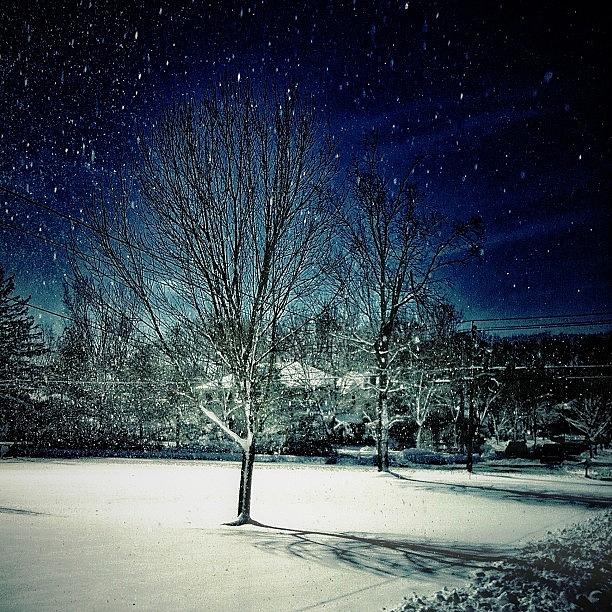 Winter Photograph - Instagram Photo #971360484728 by Adeeba Ali