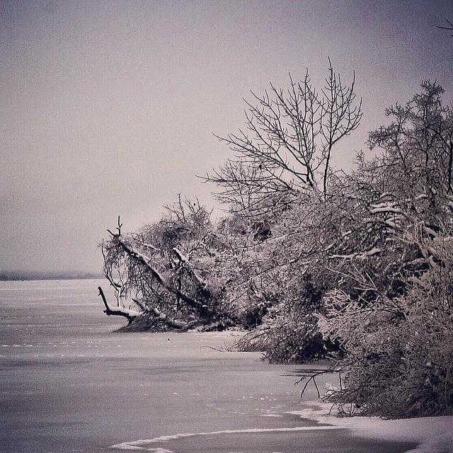 Winter Photograph - Instagram Photo #971392954397 by Matt Yates