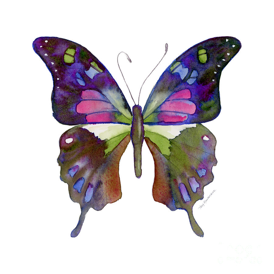 Nature Painting - 98 Graphium Weiskei Butterfly by Amy Kirkpatrick