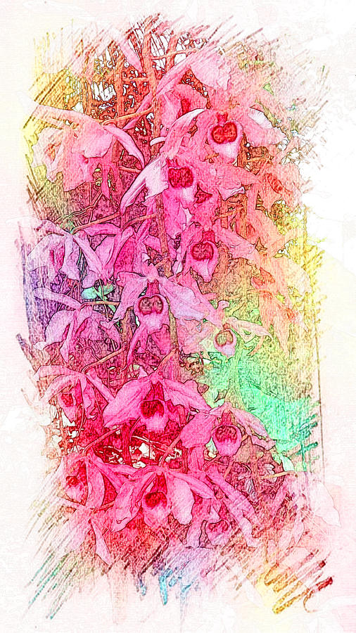 Pink Pretty Orchids Painting by Xueyin Chen