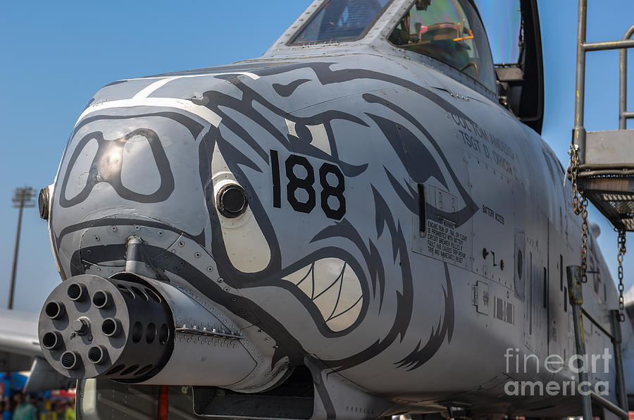 A-10 Tunderbolt Warthog Photograph by Dale Powell