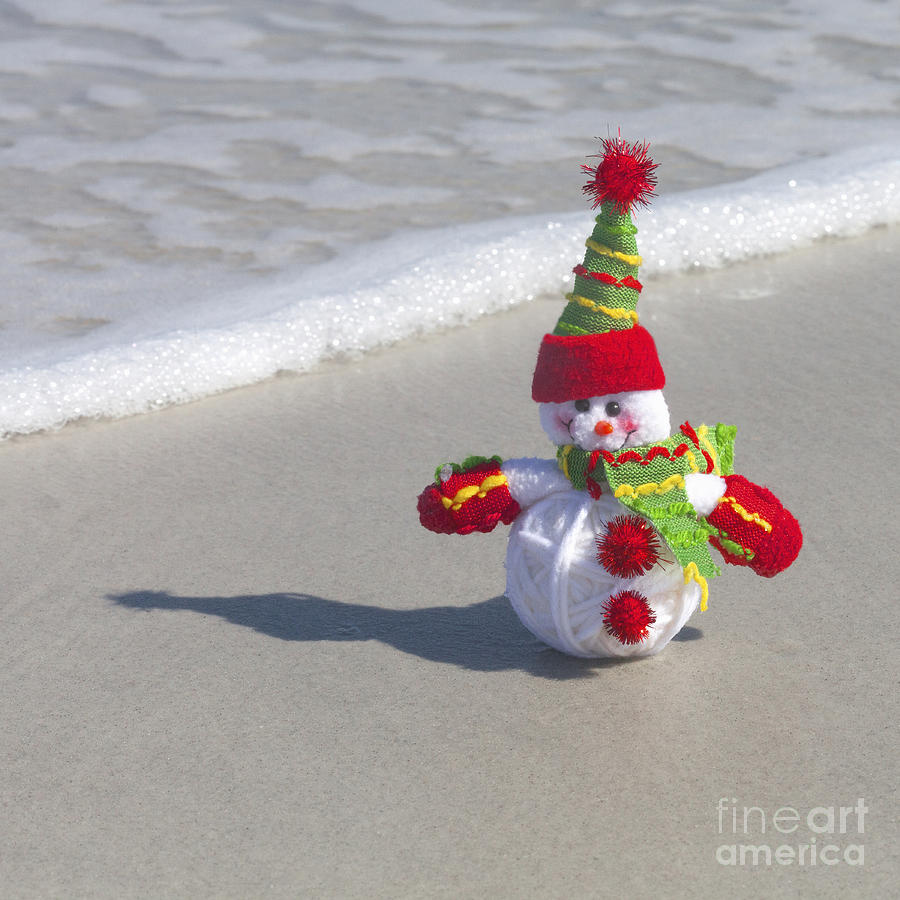 A A Snowman At The Beach Photograph by Diane Macdonald
