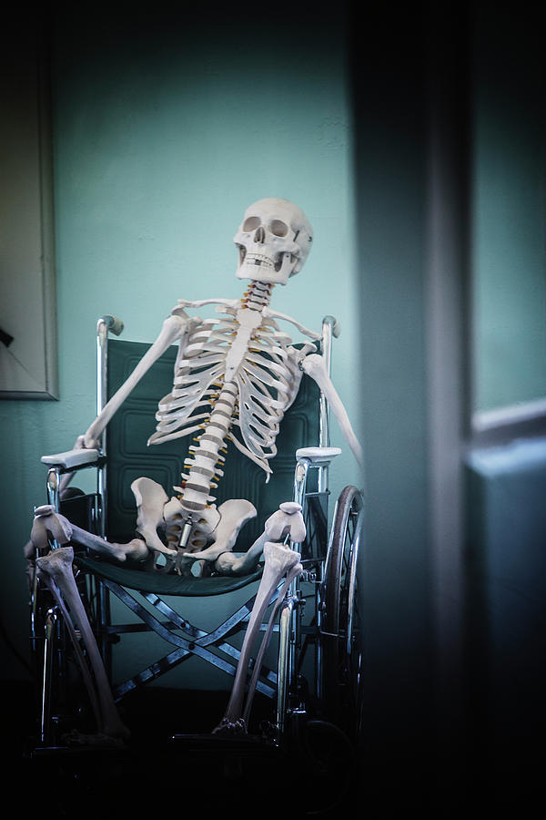 a-artificial-human-skeleton-sitting-ron-koeberer.jpg