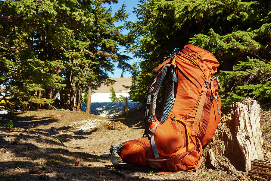 Nature Photograph - A Backpack Resting On The Trail by Josh Campbell