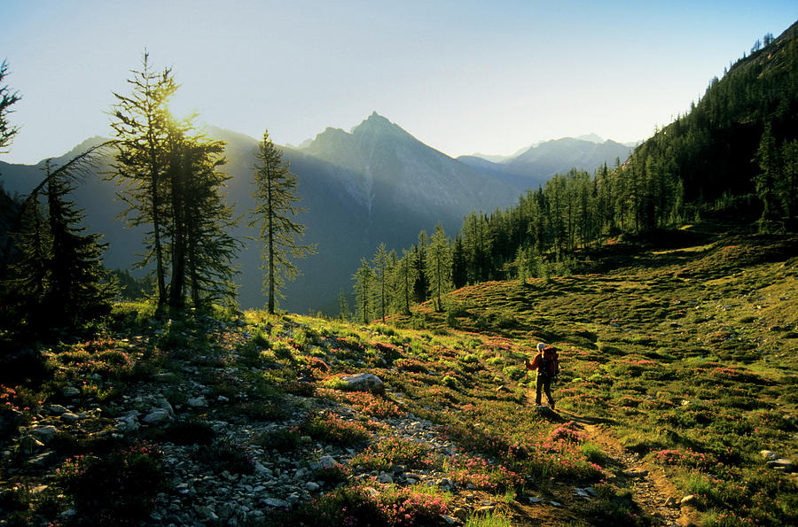 North Cascades National Park Photograph - A Backpacker Hikes Over Easy Pass by Jeff Diener