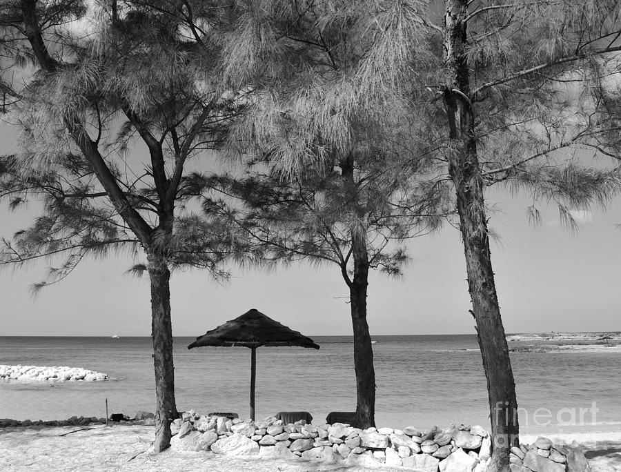 A Bahamas Scene In Black And White Photograph by Bob Sample