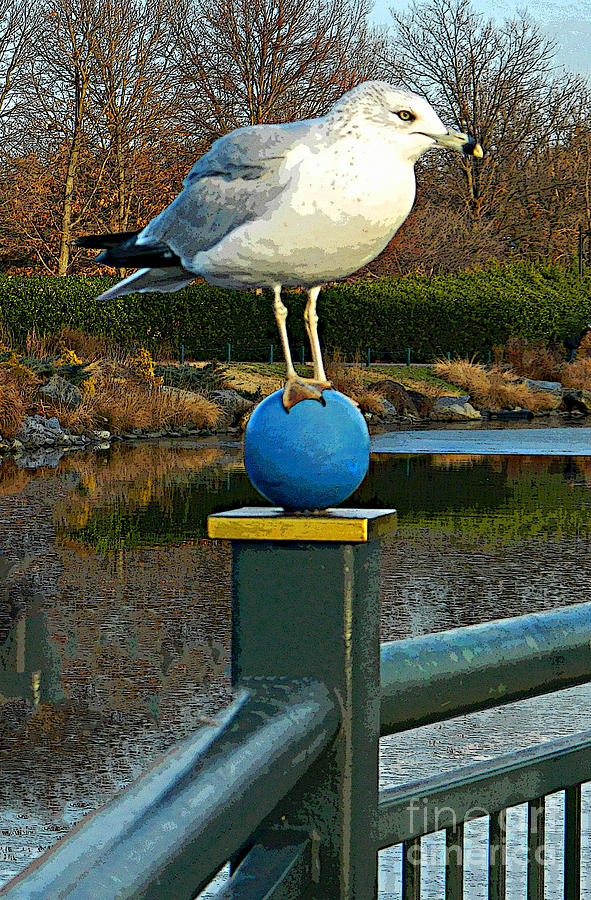 A Balancing Act Photograph by Emmy Vickers