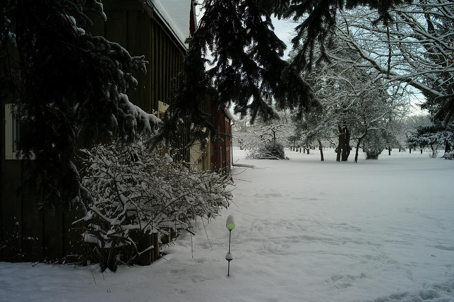 A Ball At The Barn In Winter Photograph By M N