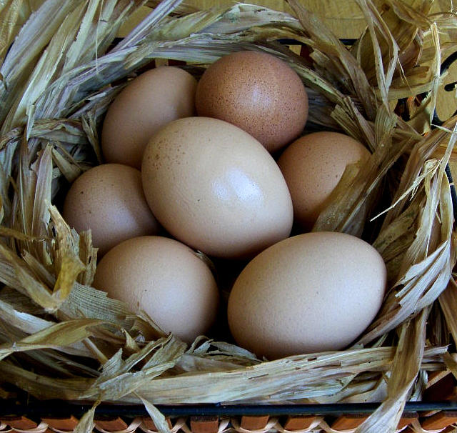 A Basket of Eggs Photograph by Venetia Featherstone-Witty