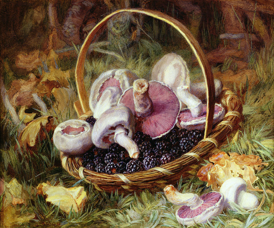 Still Life Drawing - A Basket Of Wild Mushrooms by Jabez Bligh