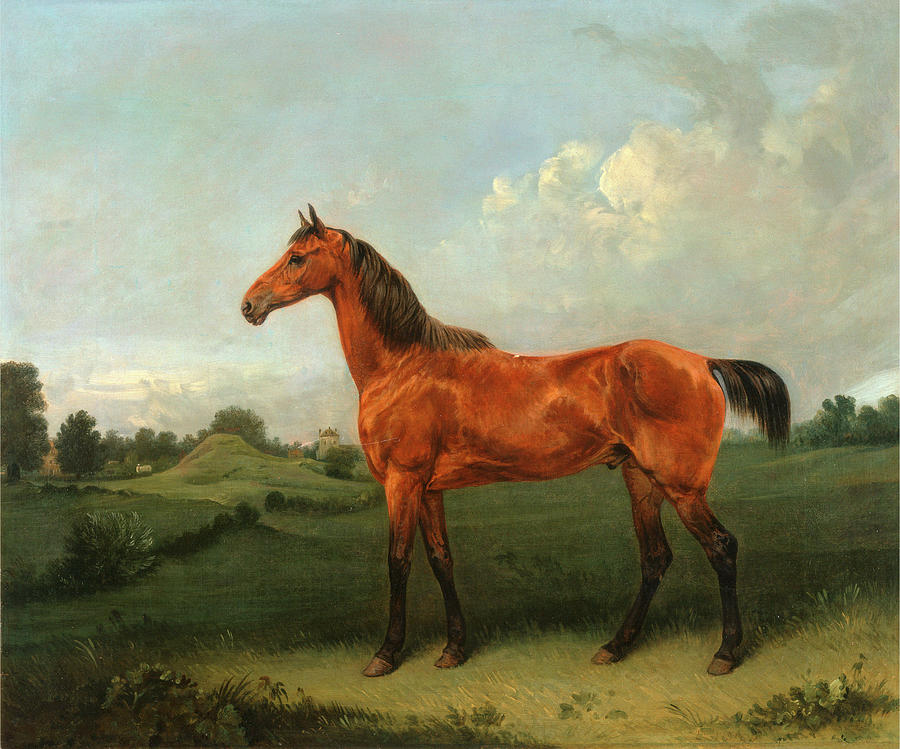 A Bay Horse In A Field Bay Hunter In A Landscape Signed Painting by ...