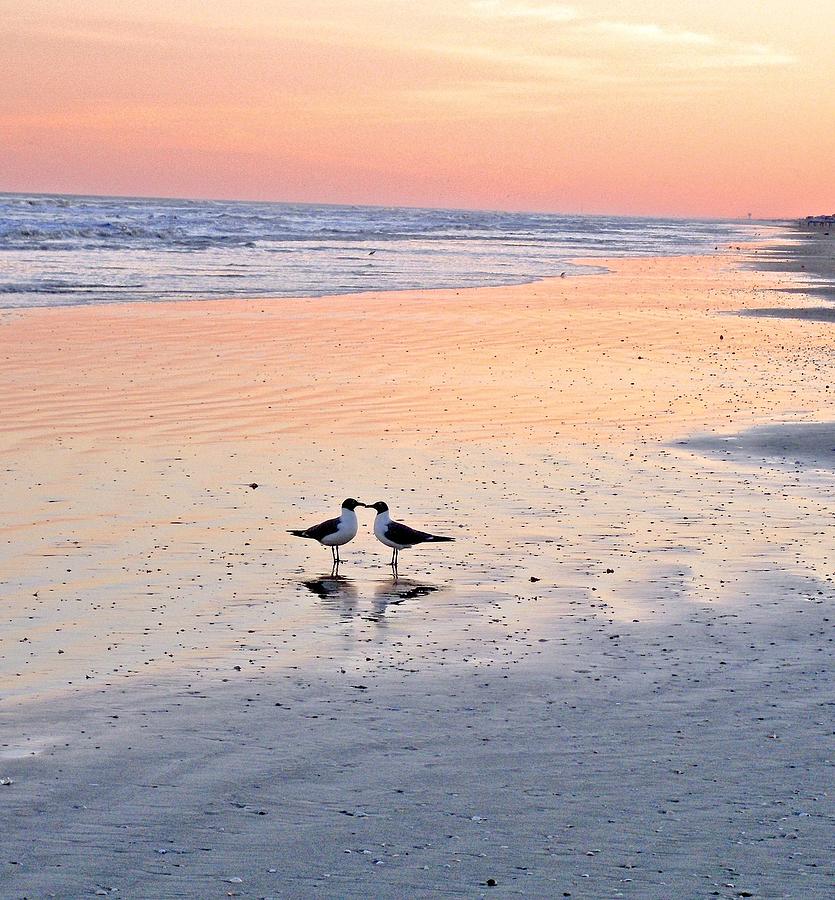 A Beach Romance Photograph by Kristina Deane