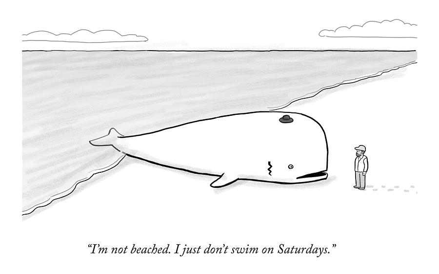 A Beached Whale Wears A Hasidic Rabbi Hat Drawing by Paul Noth