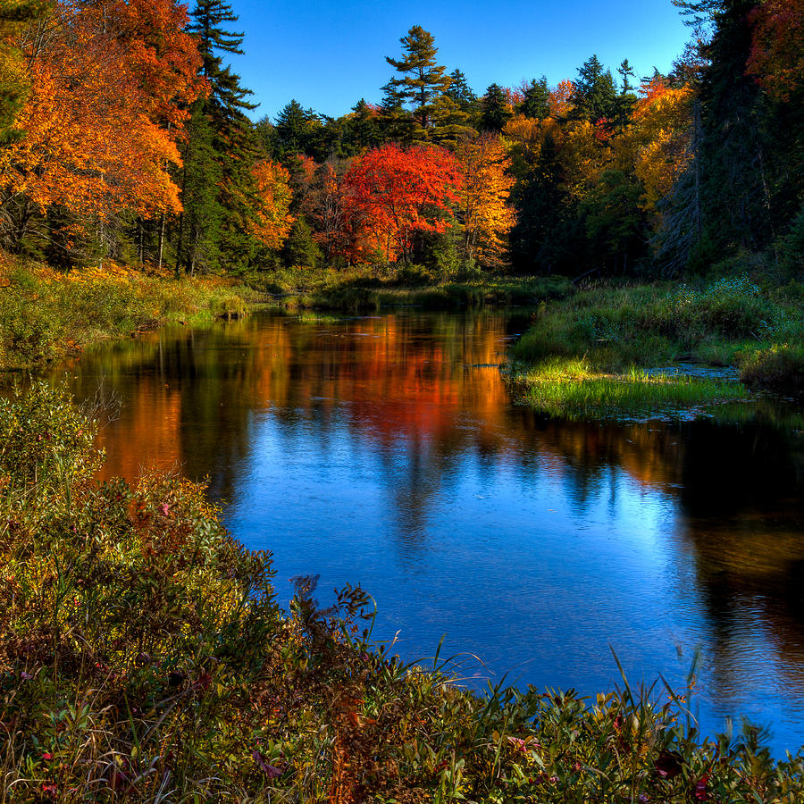 A Beautiful Autumn Day on the Moose River Photograph by David Patterson