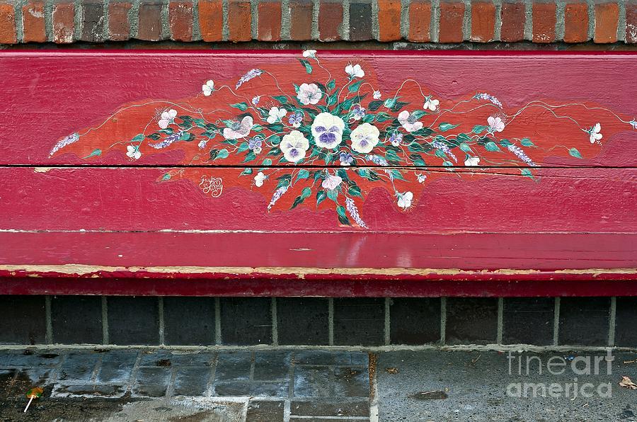A Beautiful Bench Photograph by Chris Anderson