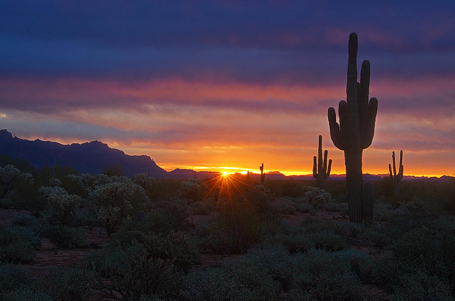 A Beautiful Desert Morning Photograph by Saija Lehtonen - Fine Art America