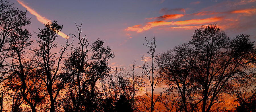 Sunset Photograph - A Beautiful Ending by Candice Trimble Sunset Photograph - A Beautiful Ending by Candice Trimble