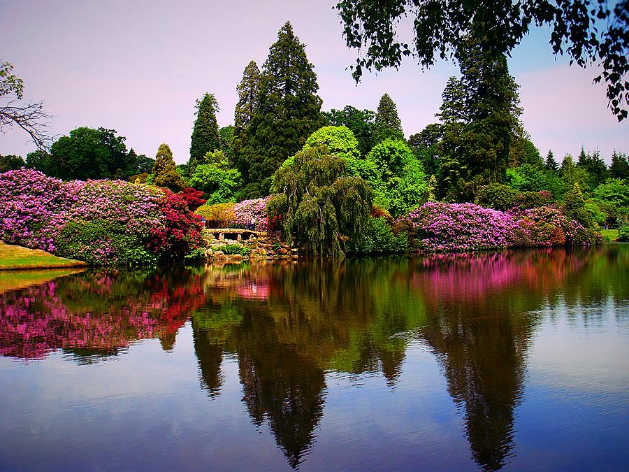 A Beautiful English Lake Photograph by Vicky Adams | Fine Art America