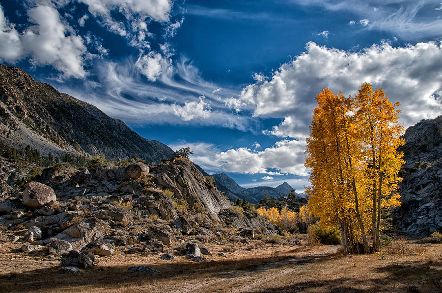 Mountain Photograph - A Beautiful Fall Day by Cat Connor