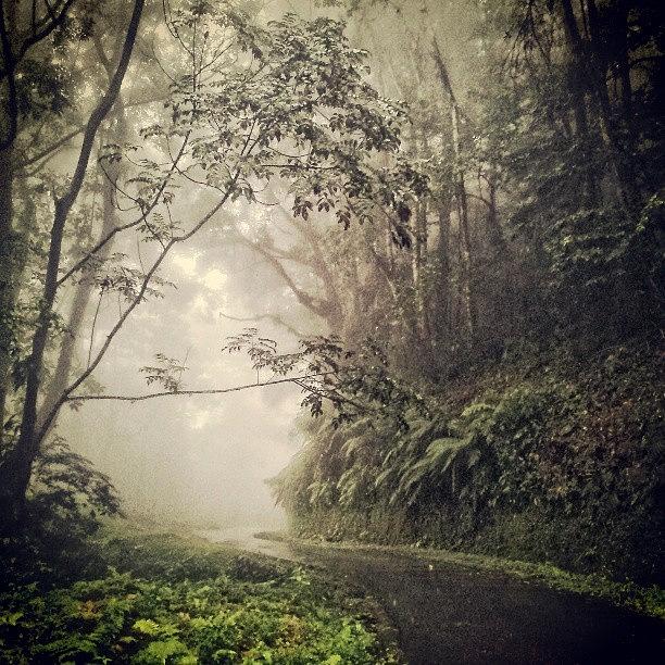 A Beautiful Misty Day Photograph by Mariela Bruzual